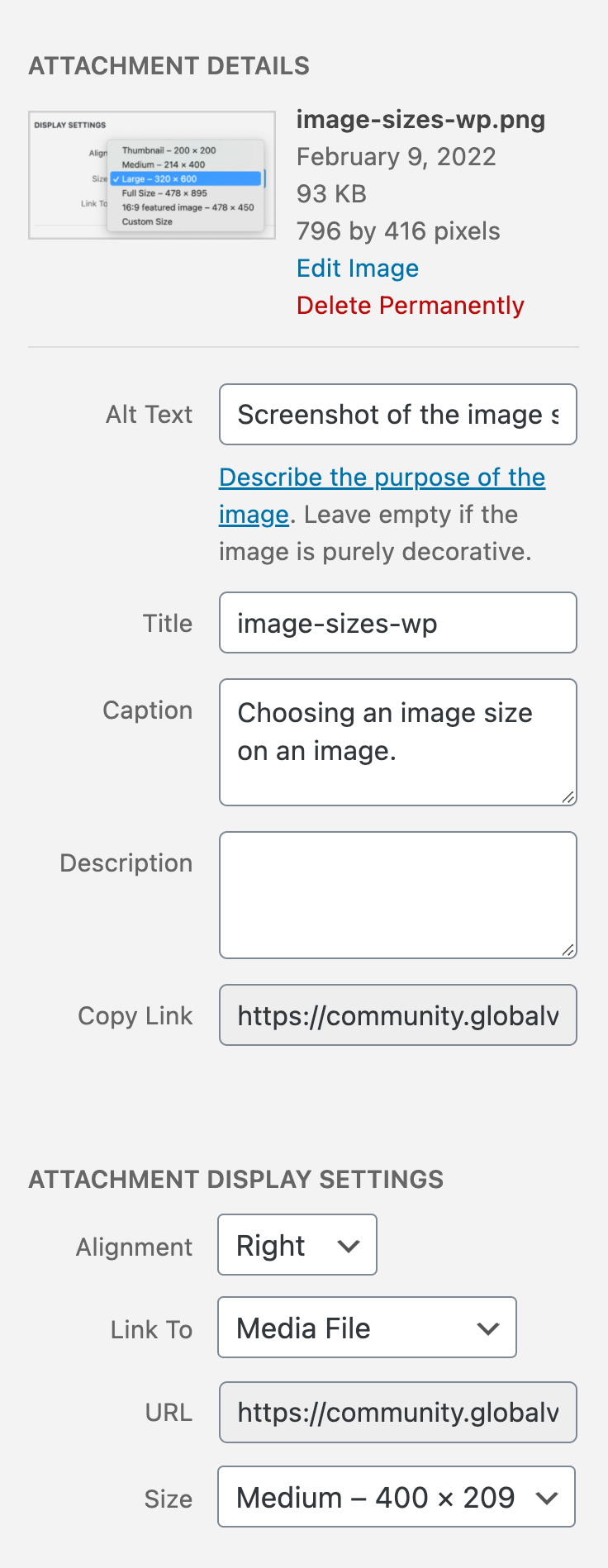 screenshot of image embed options